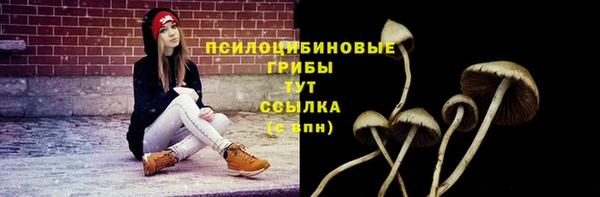 PSILOCYBIN Ростов